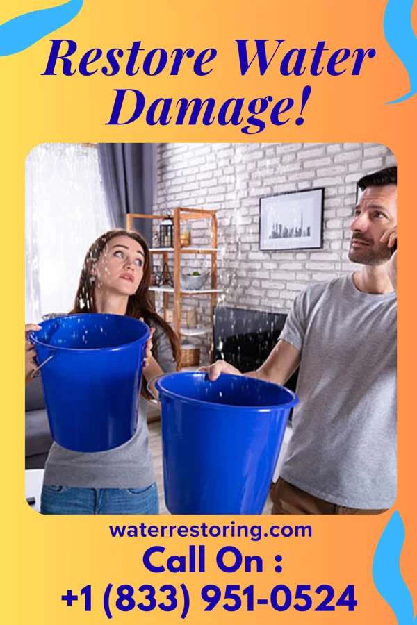 water restoration Eagle Damage Restoration Authority Armstrong