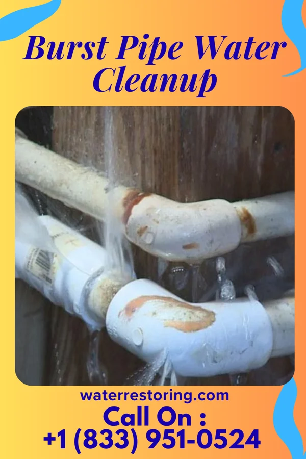Burst Pipe Water Cleanup in Armstrong, IA